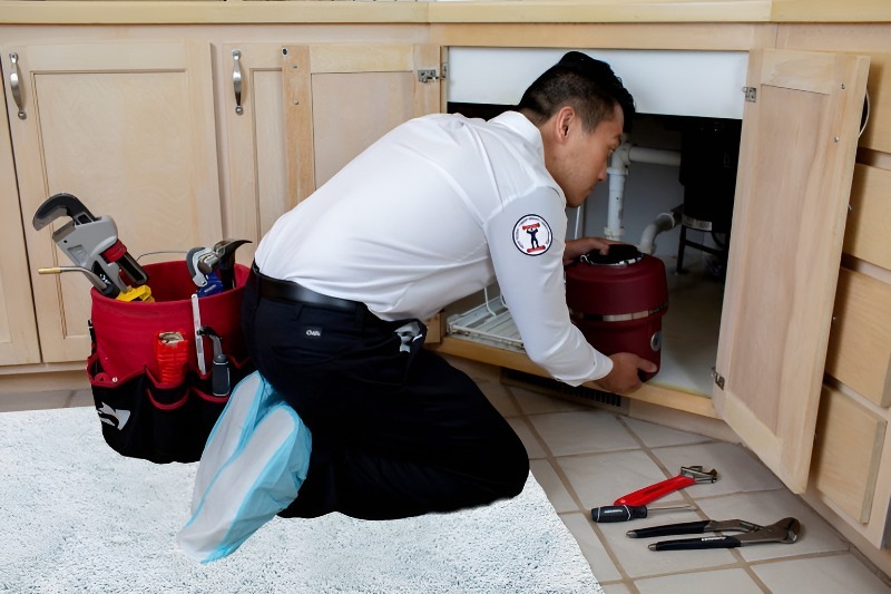 Garbage Disposal repair in Aguanga